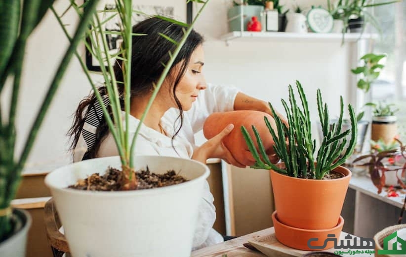 تبدیل اتاق اضافه به گلخانه