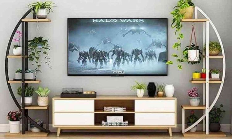 چیدمان استندهای گل طبیعی کنار تلویزیون