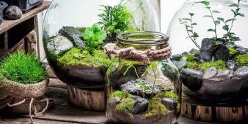 ایده‌های خلاقانه برای تزیین گلدان شیشه‌ای + [ 8 مدل زیبا ]