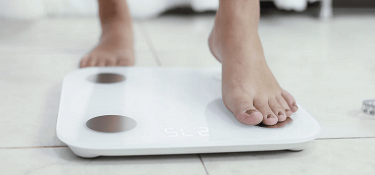 بهترین ترازوی وزن کشی