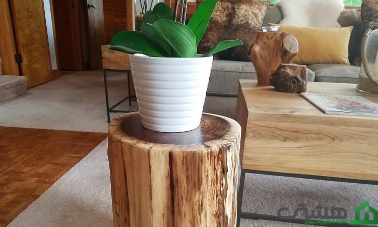 تنه درخت به عنوان پایه گلدان