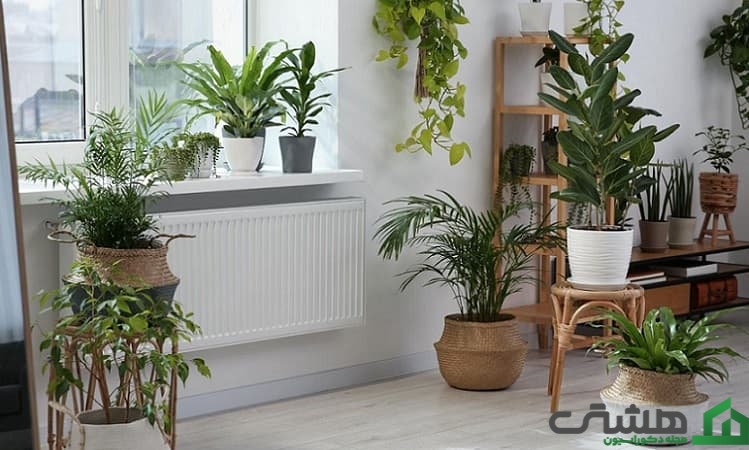 گلدان کنار سالنی جدید