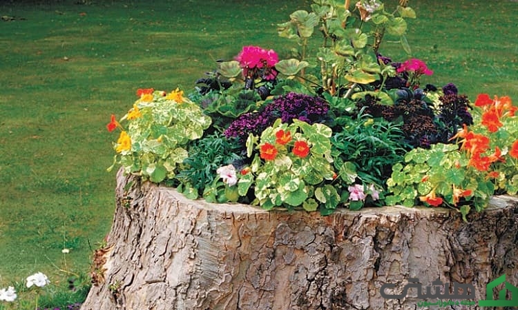 گلدانهای زینتی با تنه درخت