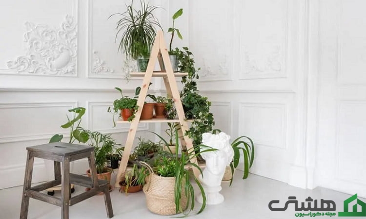 ایجاد حس آرامش و انرژی مثبت