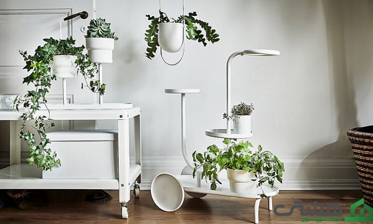 استحکام و تعادل استند