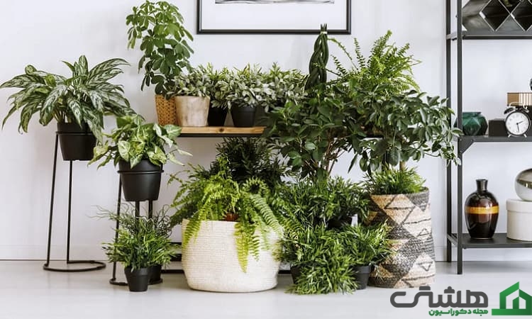 استند گل مناسب